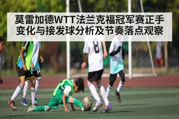 莫雷加德WTT法兰克福冠军赛正手变化与接发球分析及节奏落点观察